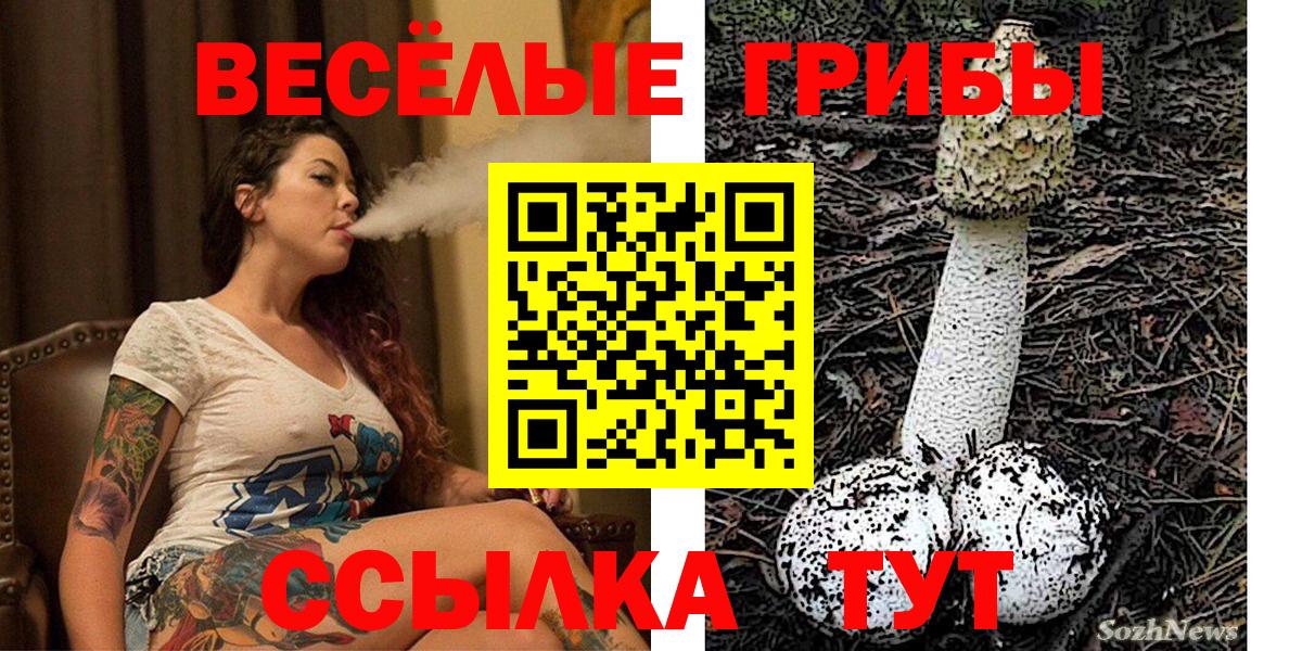 Избербаш  Галлюциногенные грибы мицелий  Вход с VPN  закладки  Галлюциногенные грибы прущие грибы 