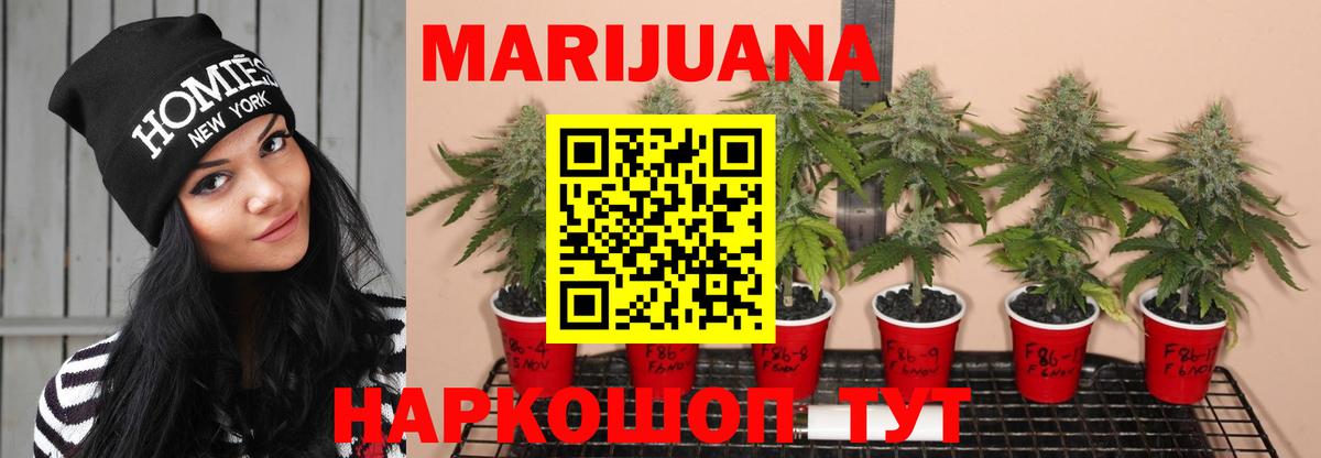 Бошки марихуана Amnesia  Каннабис гибрид  Избербаш  Вход с VPN 